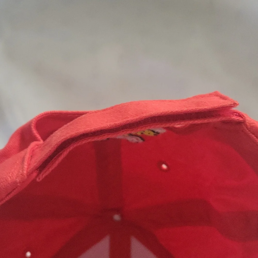 Jeff Gordon Kelloggs #24 hat - Picture 9 of 9